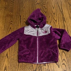 The North Face Plum and Silver Hooded Jacket